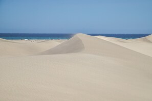 Paisaje desértico con dunas de arena y cielo despejado.