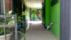 A hallway with green walls, a tiled floor, and potted plants. - Muroy Executive Lodge (Kitwe)
