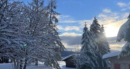 T3 6/8 sleeps 3*** 57 m² Praz de Lys in the heart of the resort