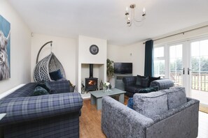 Fernseher, Arbeitsbereiche