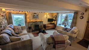 Un salon chaleureux avec une cheminée, deux canapés, un téléviseur et un sapin de Noël.