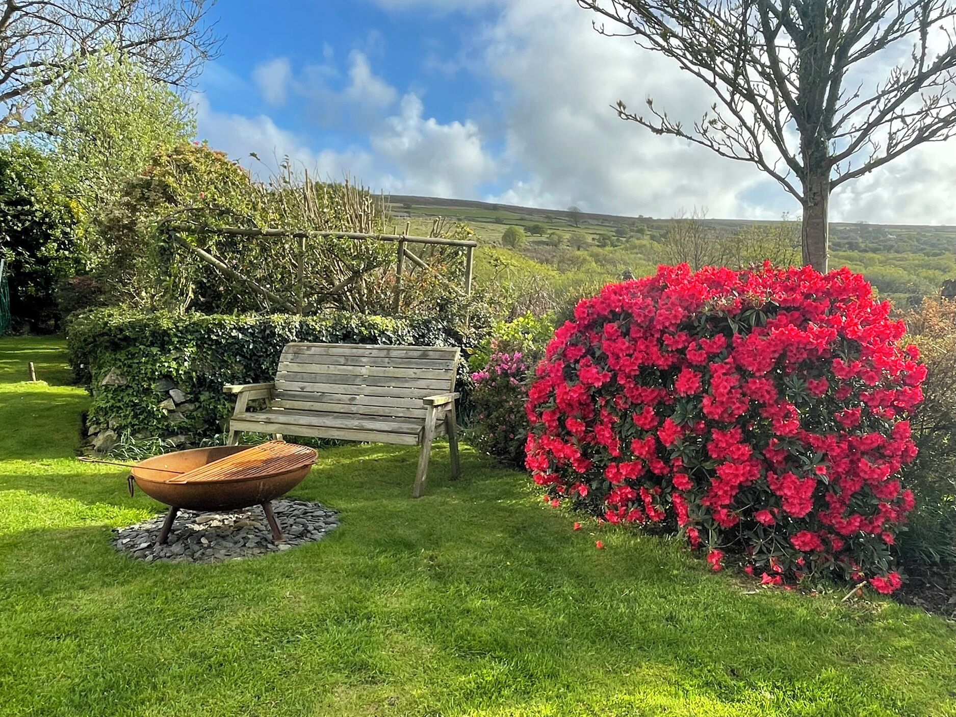 Cottage | Property grounds