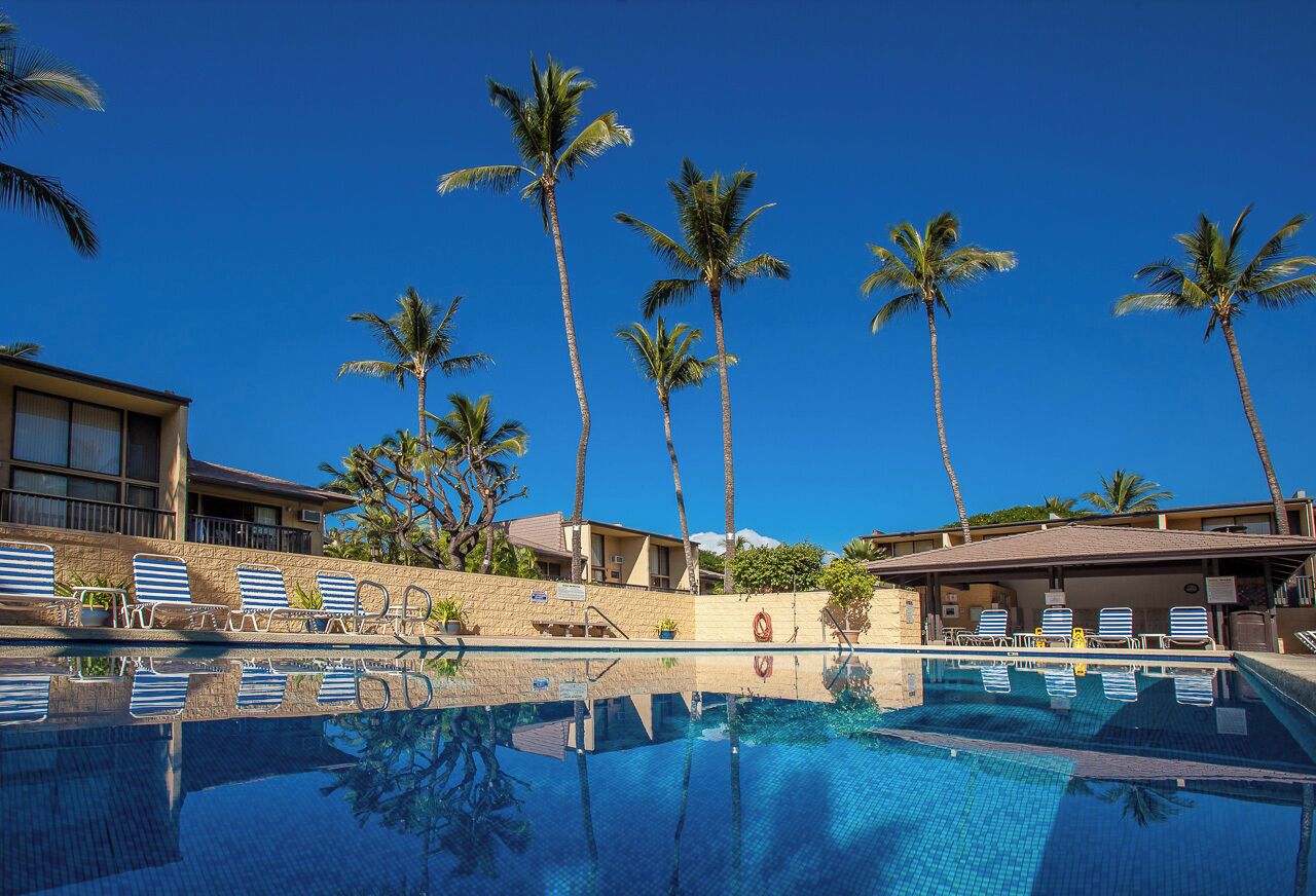 Heated pool surrounded by lush tropical gardens