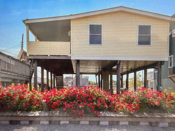 Une maison à deux étages avec un porche abrité et un jardin agrémenté de fleurs rouges.