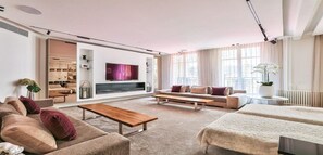 Smart TV, chimenea, reproductor de DVD y libros 