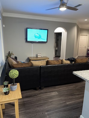 TV, Netflix, streaming services