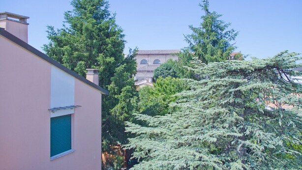 Un edificio con facciata rosa e finestra verde, immerso in una fitta vegetazione.