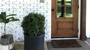 A white brick wall, a wooden door, a potted plant, a wicker basket, and a ceiling fan. - Modern, cozy, Studio Apartment (Ochlocknee)