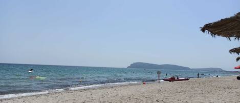 Ranta