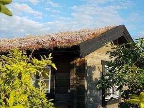 تفاصيل الفندق من الخارج