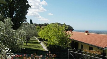 Televisión de pantalla plana