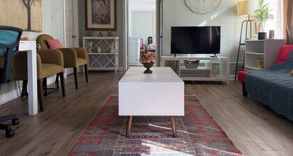Historic Renovated Apartment SGMC Nurses welcome