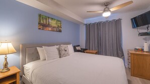 Habitación de hotel con cama, escritorio, silla, televisor y ventilador de techo.