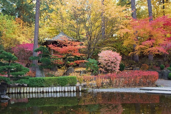 Jardines del alojamiento