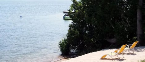 Vlak bij het strand