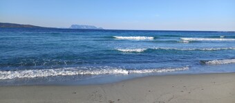 Apartment the jasmines ###