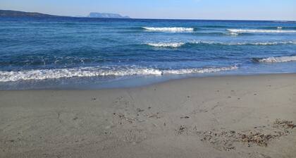 Apartment the jasmines ###