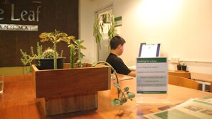 A reception desk with a signboard for tours, wooden furniture, and potted plants. - The Leaf Service Apartment (Chiang Mai)