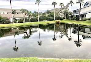 A tranquil pond with reflections of palm trees and a house in the background.
