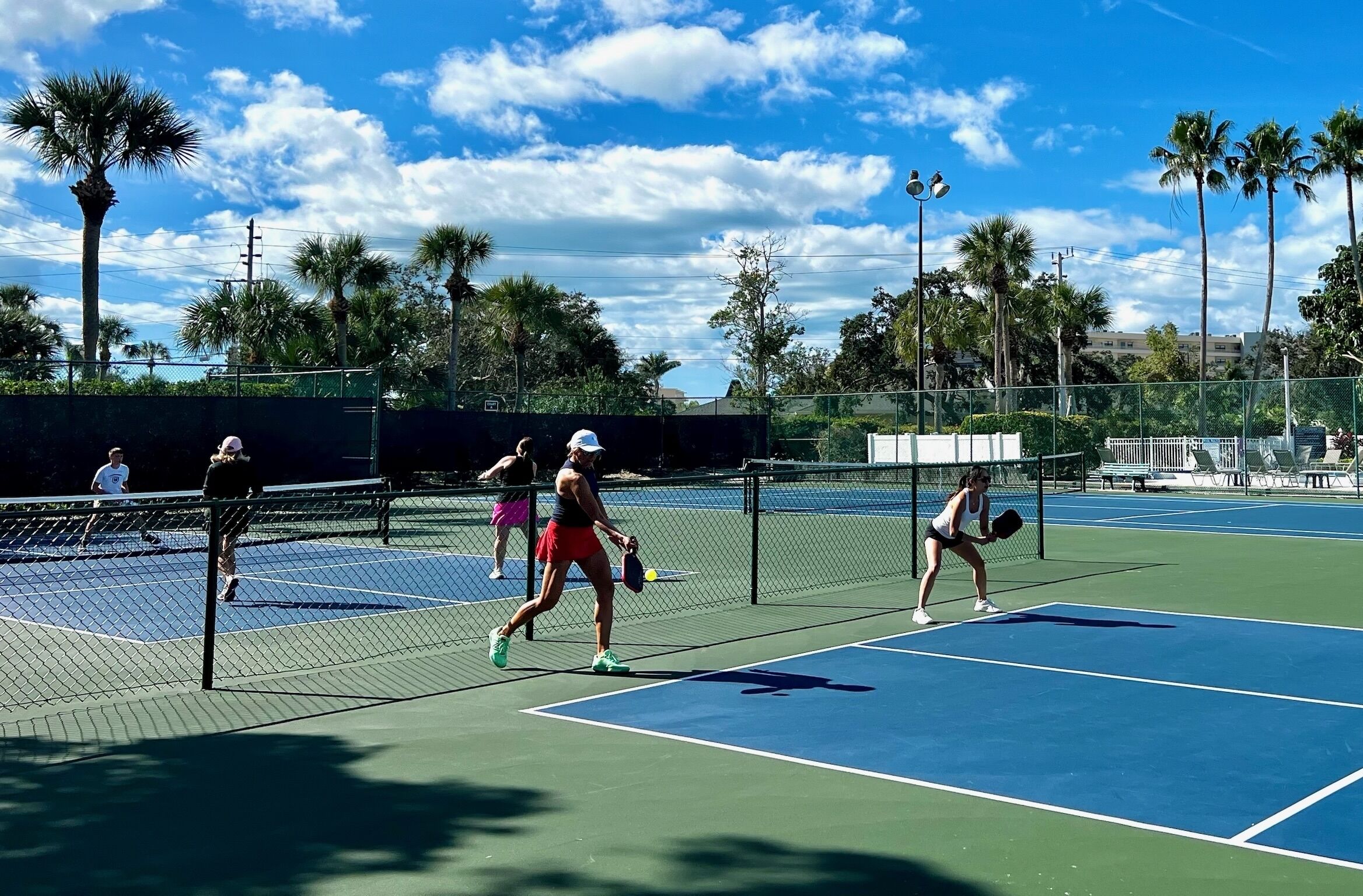 A tennis court with a net, surrounded by palm trees and a clear sky.