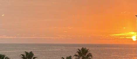 Beach nearby, sun-loungers, beach towels