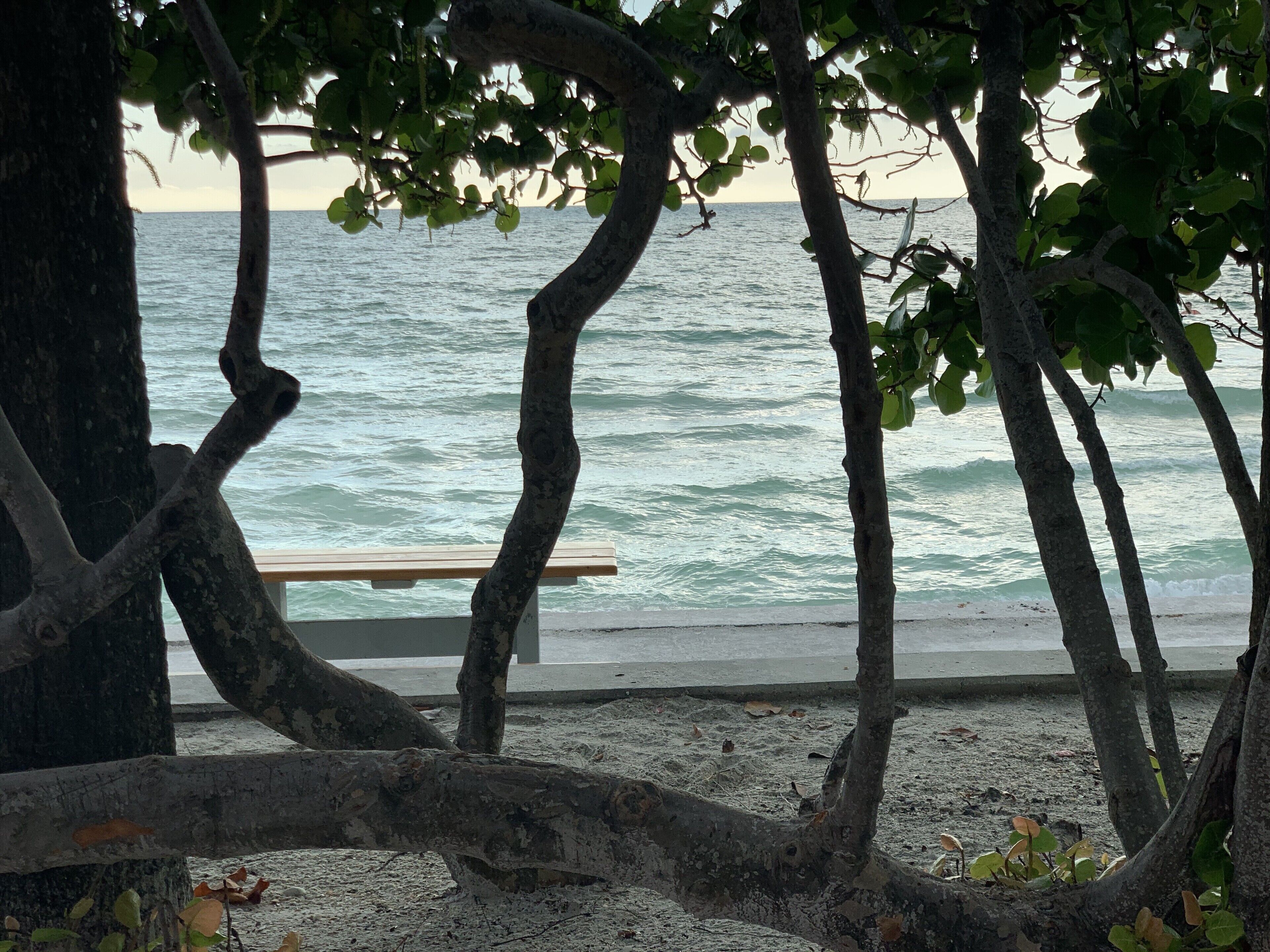 Ranta lähistöllä, aurinkotuoleja, rantapyyhkeitä