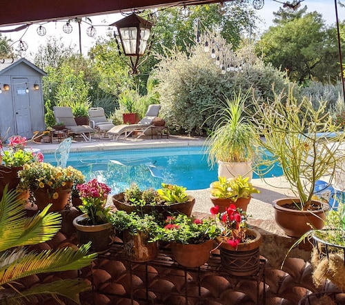 Desert Oasis- North Scottsdale Home - Massive Backyard Gardens/Patios/Pool