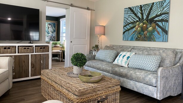 A living room with a grey sofa, a television, wicker furniture, and a painting on the wall.