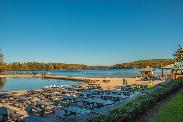 Enjoy a serene lakeside picnic with tables overlooking the calm lake and surrounding forest.