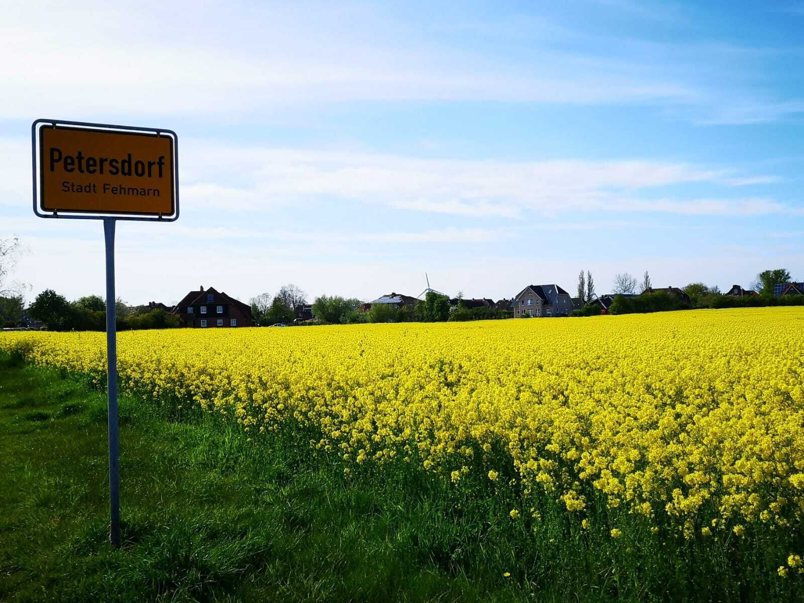 Opastekyltti, jossa lukee ”Petersdorf Stadt Fehmarn”, ja jossa etualalla on keltainen kukkameri ja taustalla taloja.