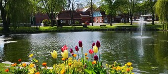 Apartment with 3 bedrooms, balcony and fireplace - perfect for couples/families