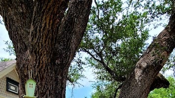 DĂ©tail de lâextĂ©rieur