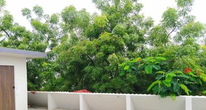 PENTO PARADISE | KING BED | FREE TERRACE GARDEN