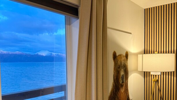 Una habitación con escritorio de madera, ventana con cortinas, un cuadro de un oso, una lámpara y una pared a rayas.