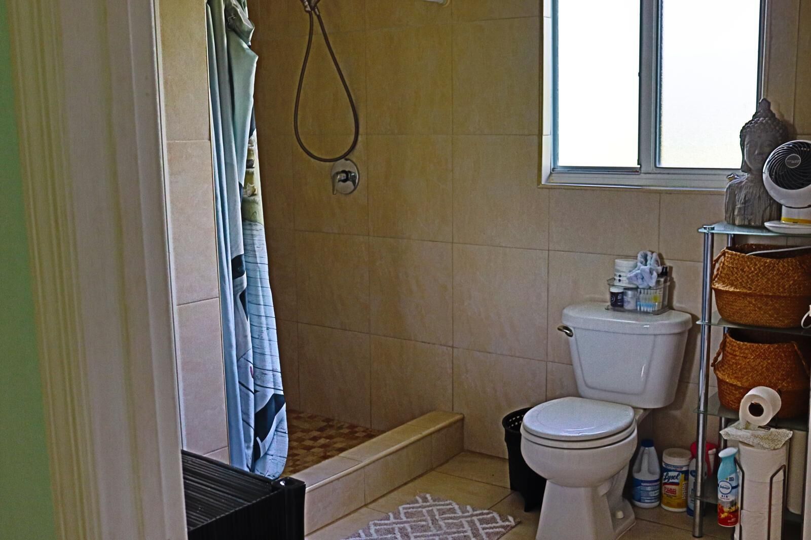 Shower, towels, toilet paper