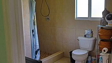 Shower, towels, toilet paper
