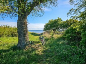 Imagen sin descripción, 3 de 59, botón