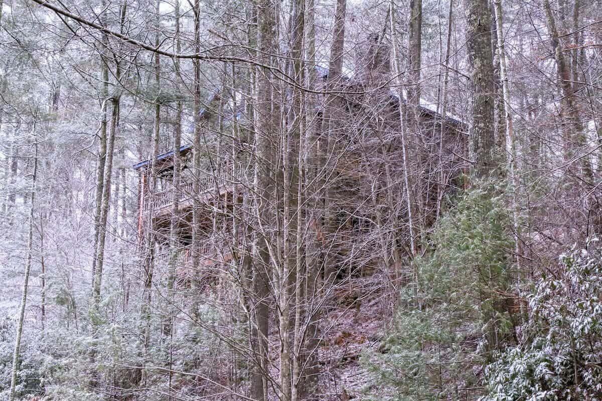 Eine rustikale Holzhütte, umgeben von dichtem Wald.