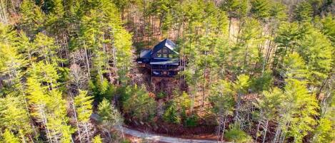 A cabin surrounded by dense forest, accessible by a narrow path.