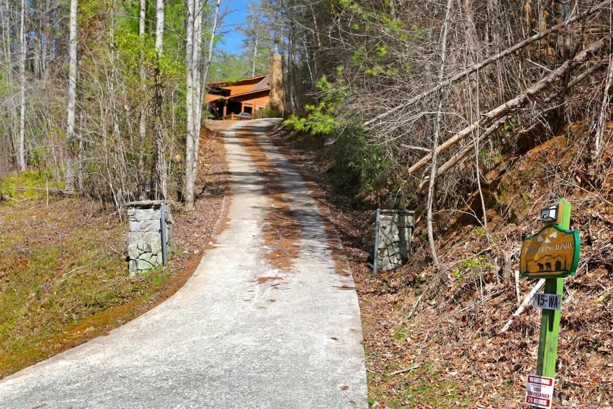 A paved path leading to a rustic cabin in a forested area.