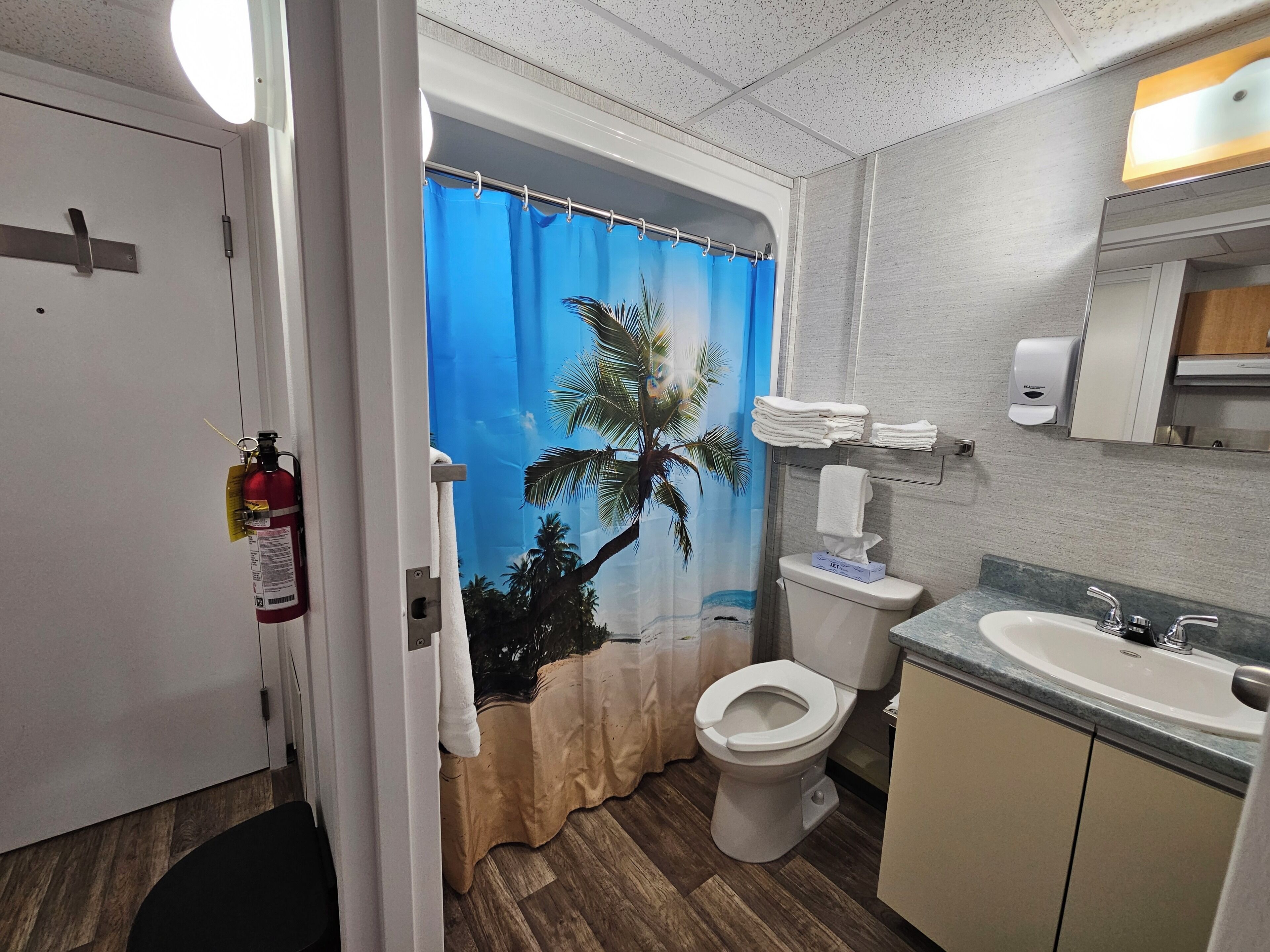 A bathroom with a toilet, sink, and shower curtain.