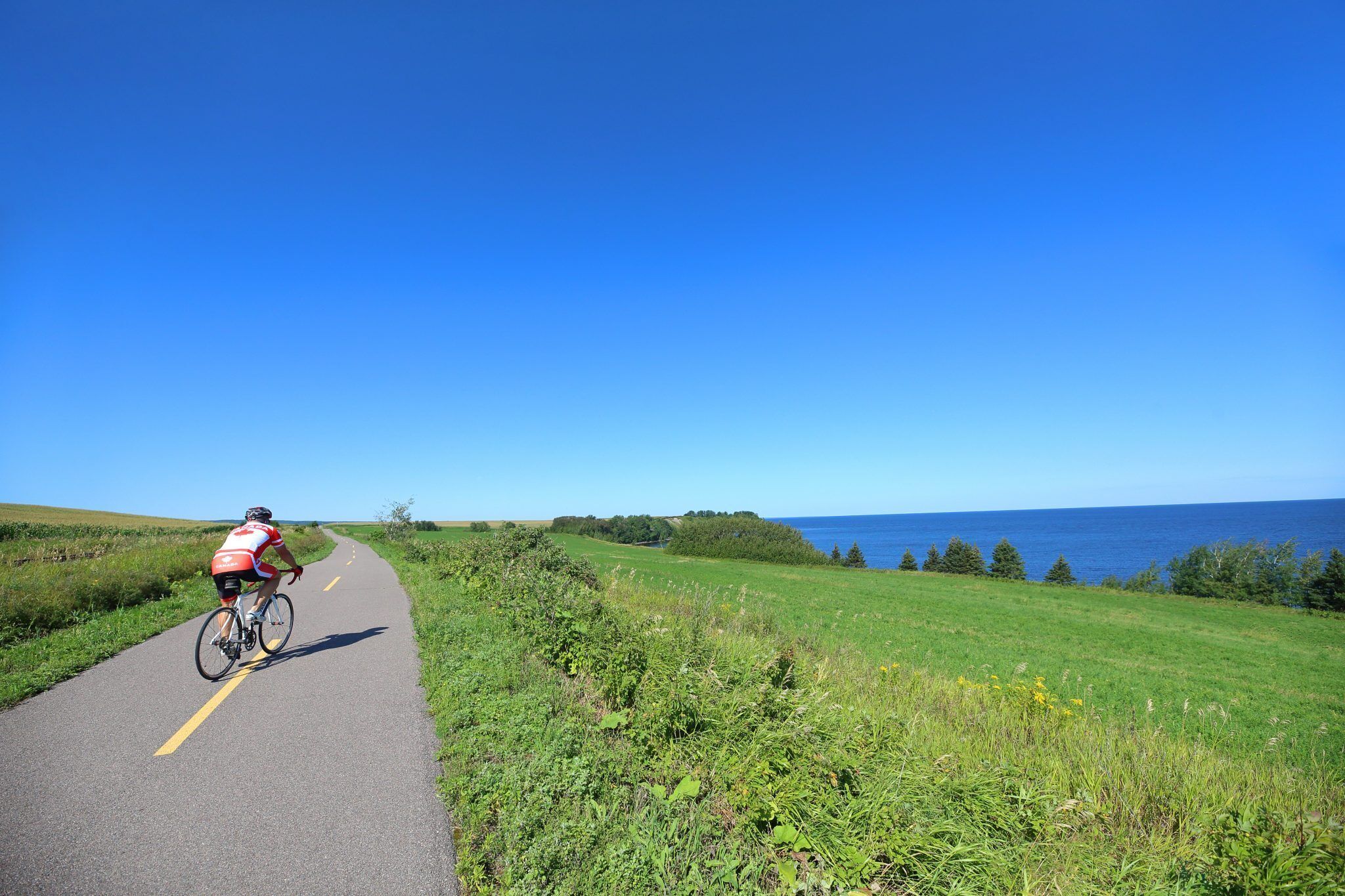 A cyclist on a paved path with a view of the ocean and greenery.