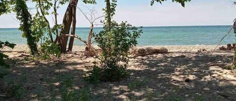 Une plage bordée d’arbres, offrant une vue dégagée sur l’océan.