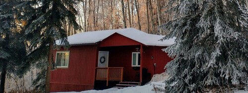 Cozy Alaskan Cabin, with rare Northern Lights views...