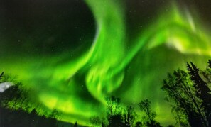 Northern lights right outside of the cabin.