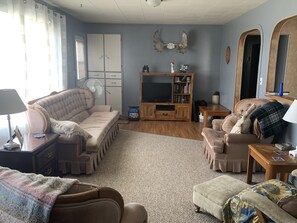 Smart TV, fireplace, DVD player, books
