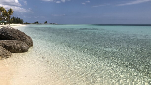 A beach with clear turquoise water, white sand, and palm trees.