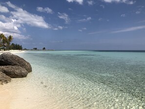 A beach with clear turquoise water, white sand, and palm trees. - Bahamian Beachfront Paradise, directly on the beach! (Freeport)