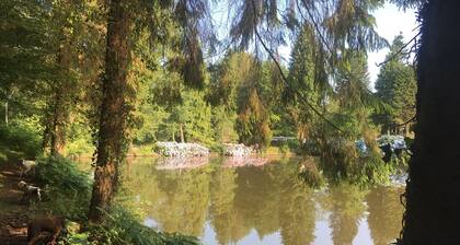 Inviting 2-Bed Cabin in Domfront En Poiraie