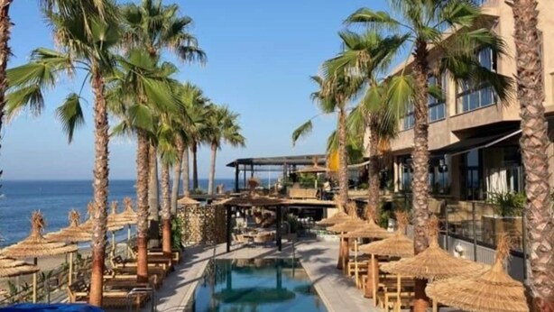 A poolside area with palm trees, lounge chairs, and a view of the ocean.